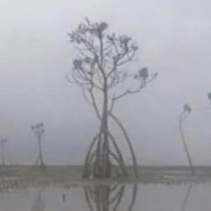 Meet your Posher, Chia